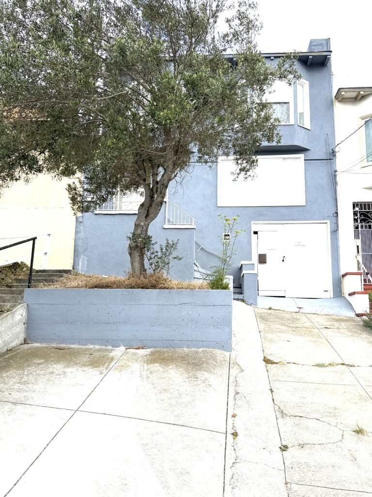 San Francisco Single Family Home For Sale now 737 London St, San Francisco, CA 94112 Hellen Tang Listing house for sale Bay Area home for sale